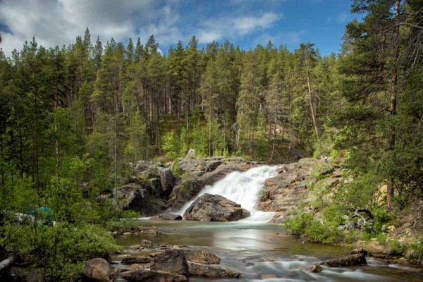 VAELLUSTA LEMMENJOEN KANSALLISPUISTOSSA