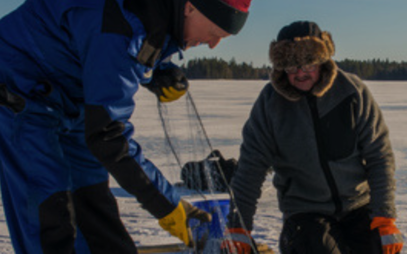 Kainuu -Talvikalastusretket Kainuun Järvillä