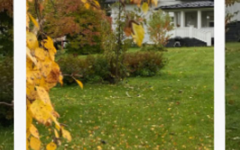 Hiljennä Syksyyn-retriitti Vuokatissa